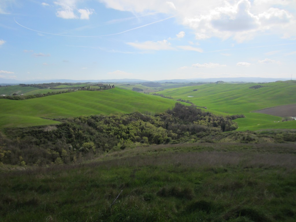 tuscany green scenery