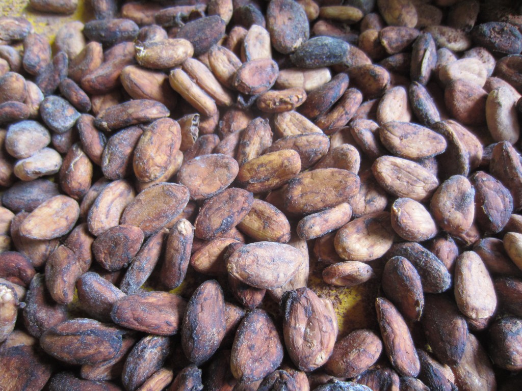 coffee beans dominican repuiblic locally grown