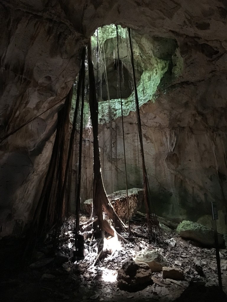hole cave scape park Dominican republic caves