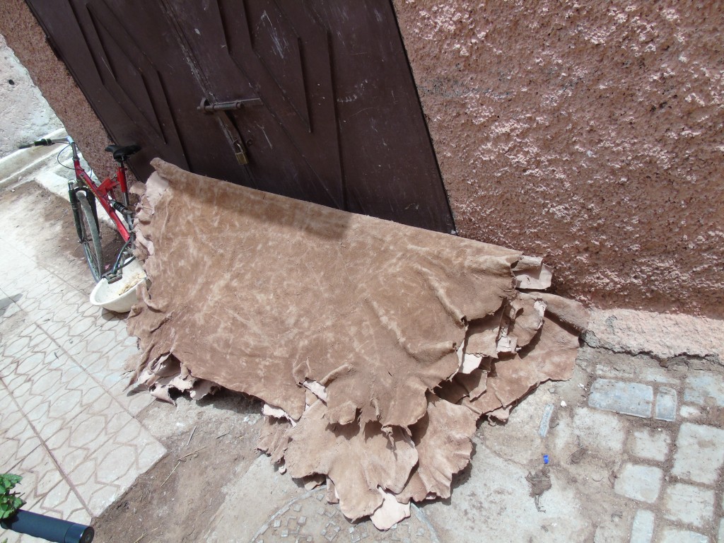 tannery leather making marrakesh