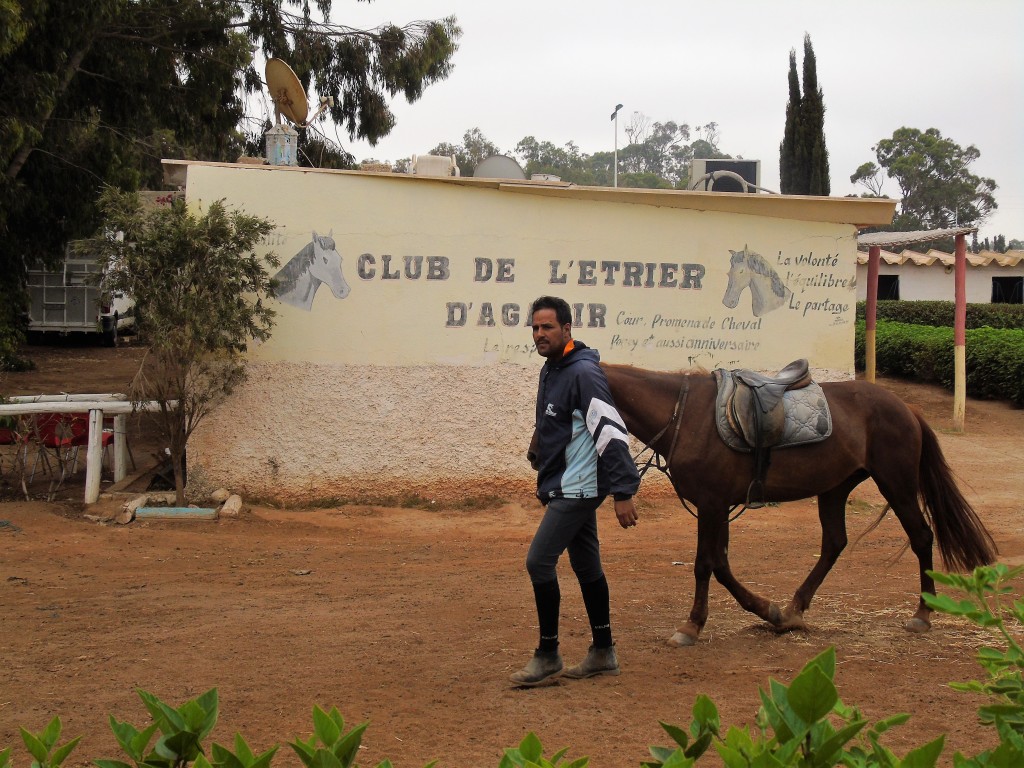 camel ride agadir excursion horse riding club agadir