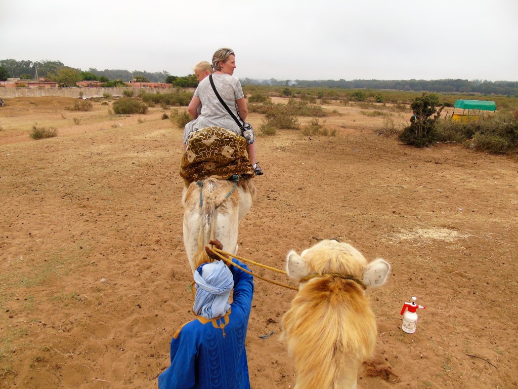 camel ride agadir excursion