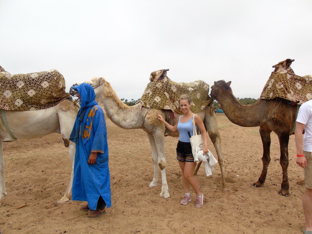 camel ride agadir excursion
