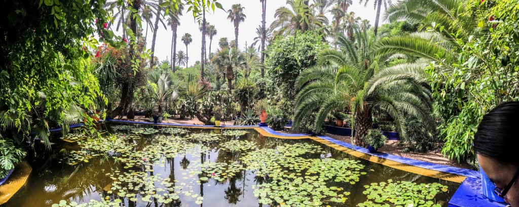 jardin majorelle marrakesh gardens