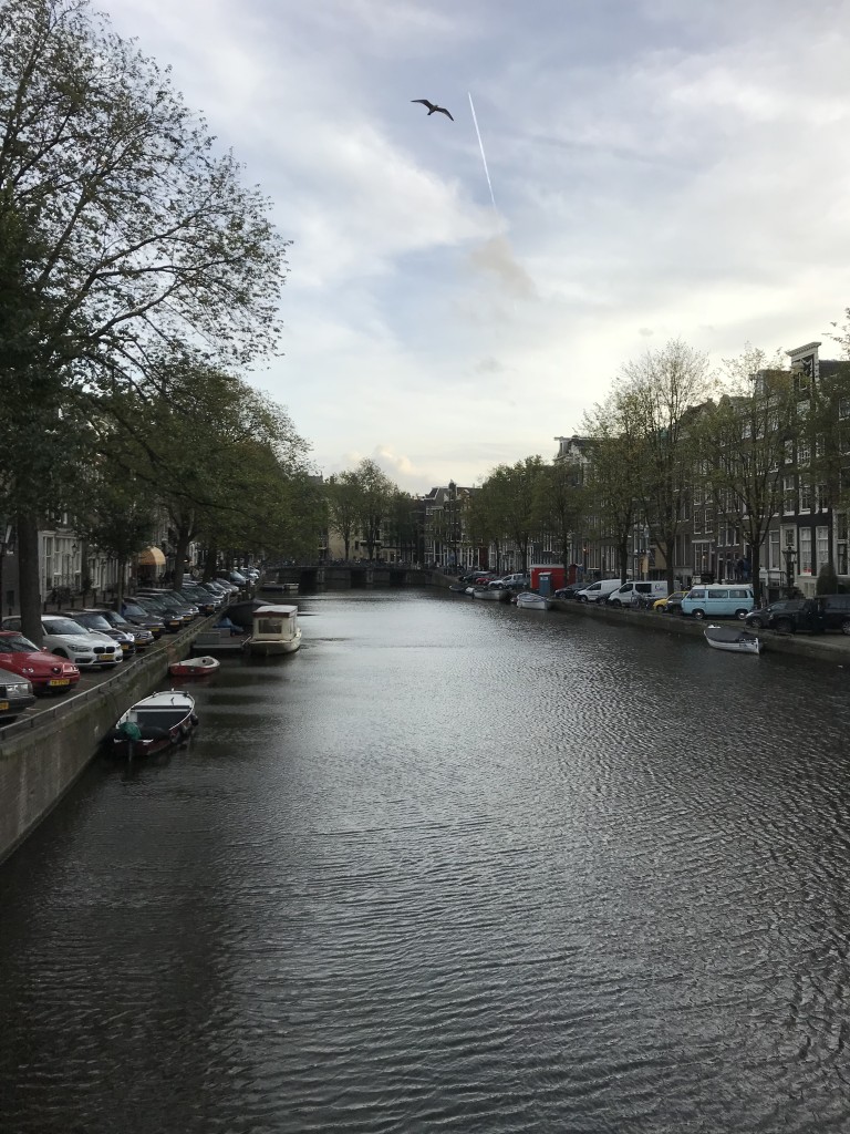 beautiful amsterdam pictures