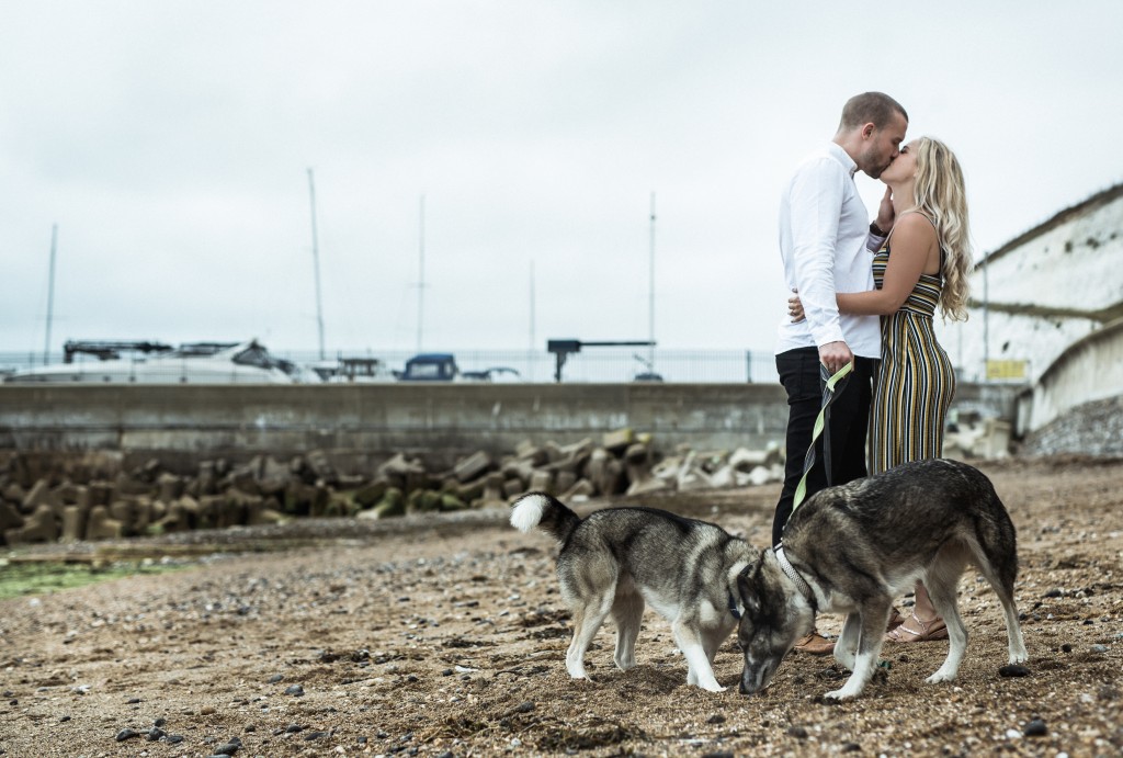 beach engagement dog engagement proposal