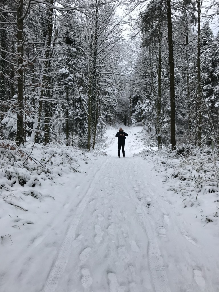 lucerne walks in the snow