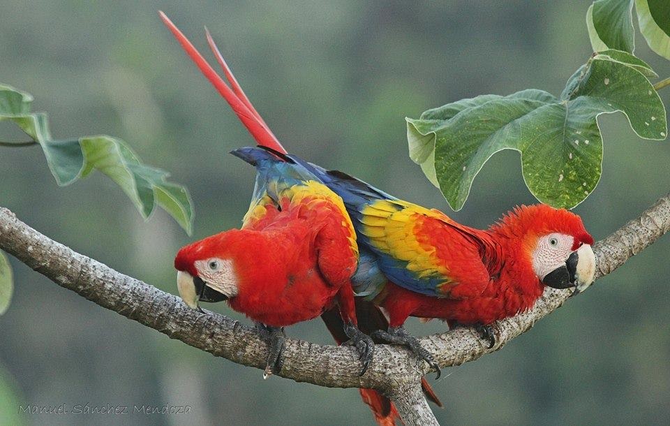 15036644_10154454436406998_4729010977821920332_n