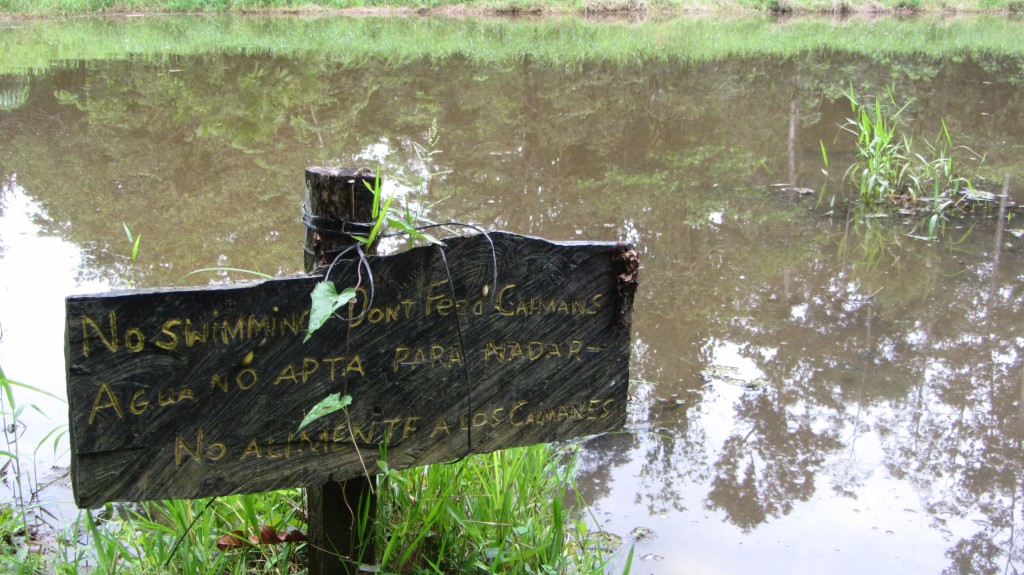 Cayman pond costa rica