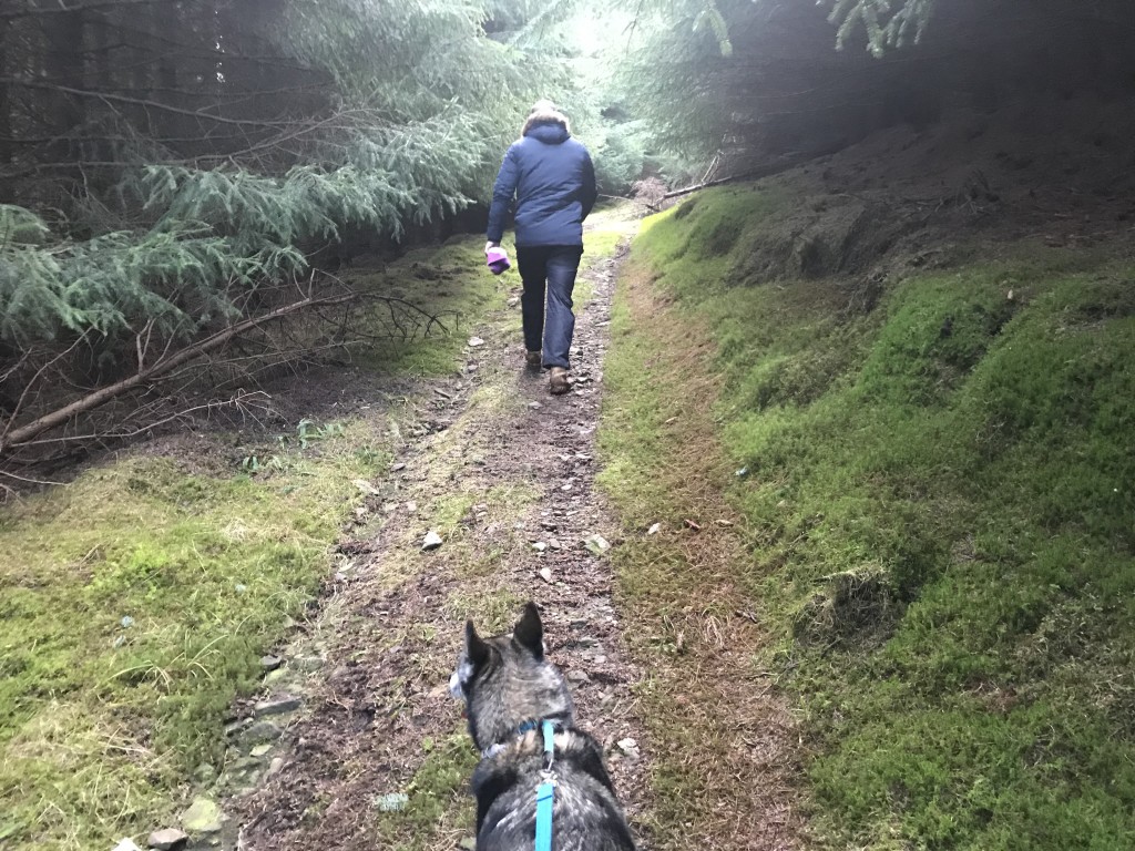 dog friendly cottage scotland Mar Lodge, Clat, Huntley, Aberdeenshire walks
