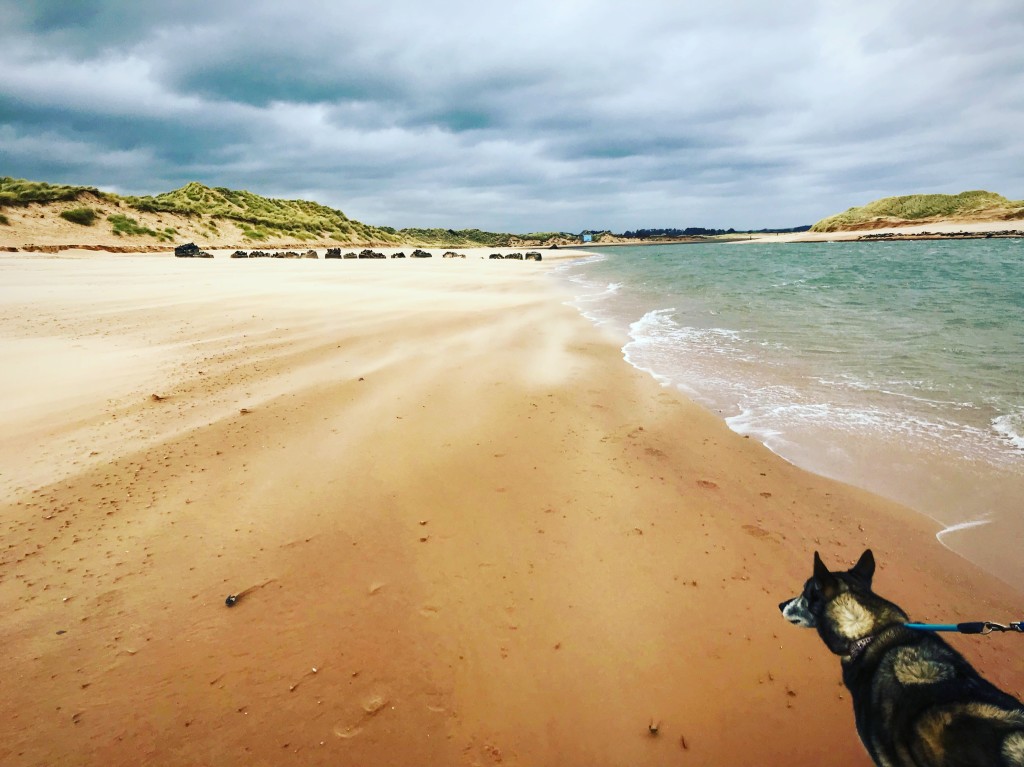newburgh beach the content wolf blog scotland