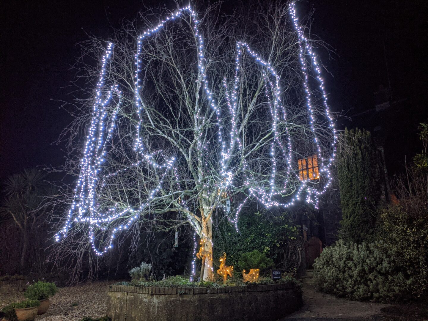 places to stay near kingswear, brixham christmas lights