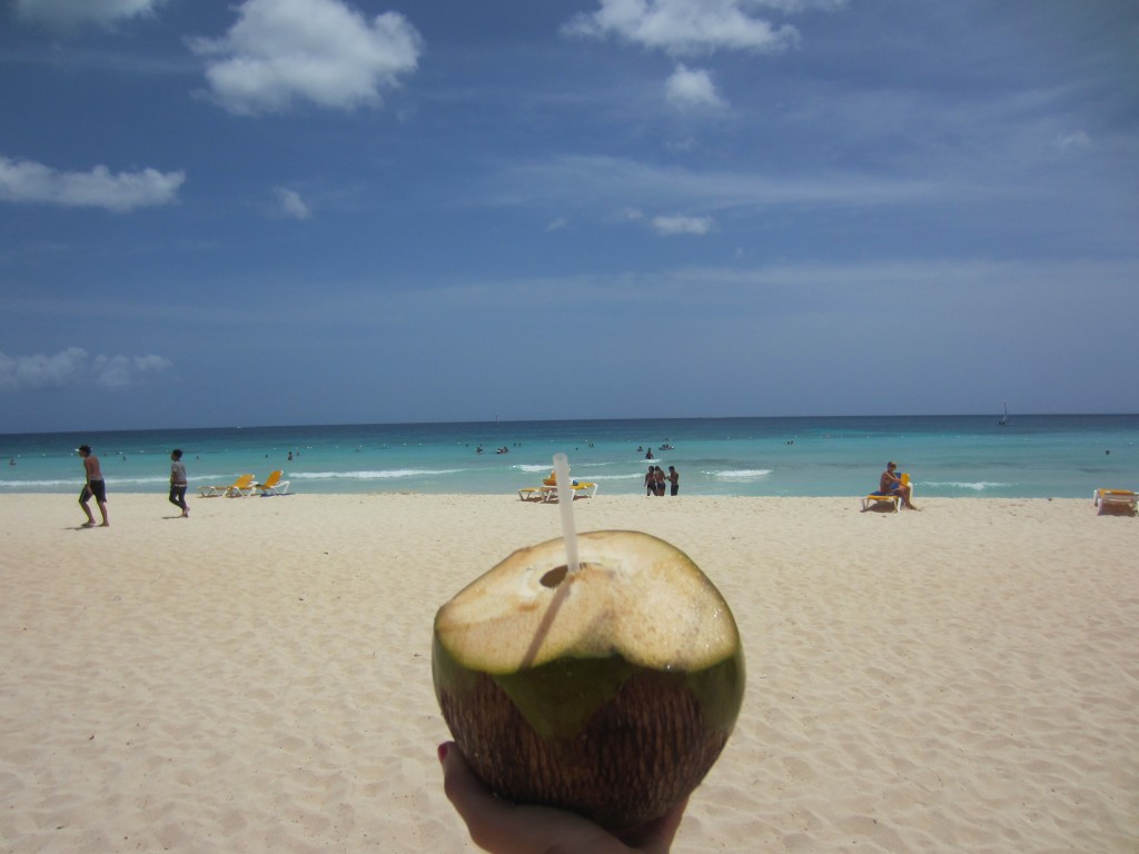 coconuts on the beach paradise beach