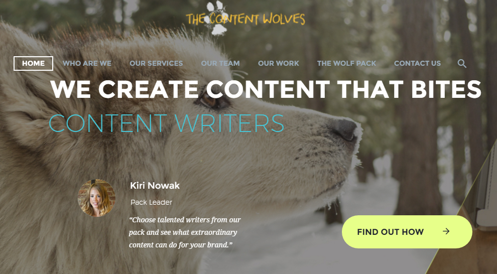 My New Website Launch – The Content Wolves